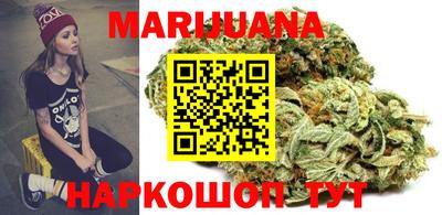 винт Шелехов