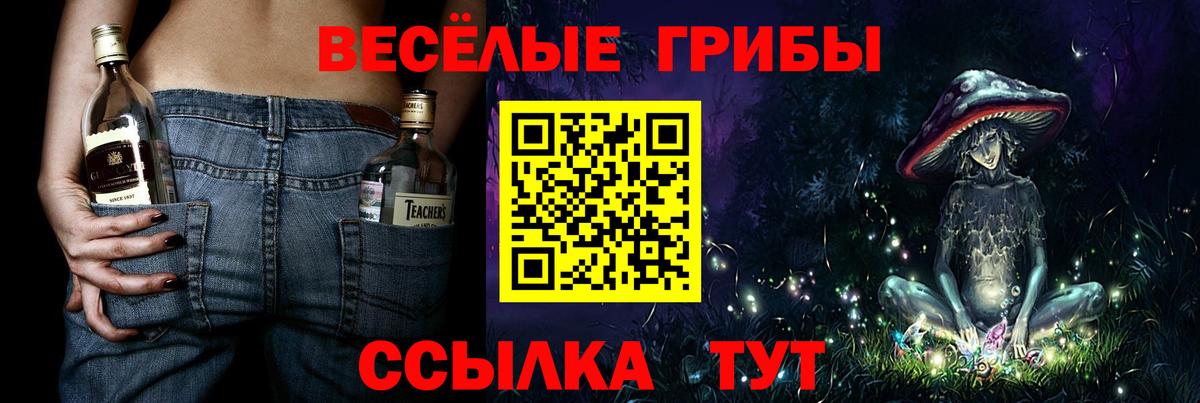 Галлюциногенные грибы Psilocybine cubensis  Псилоцибиновые грибы GOLDEN TEACHER  Белая Калитва  Вход с VPN 